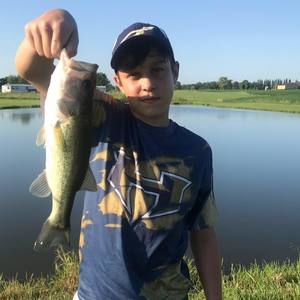 Meet your Posher, Jack